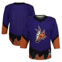 A.Coyotes 2020-21 Special Edition Premier Jersey Purple Stitched American Hockey Jerseys