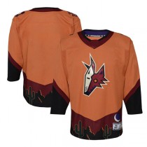 A.Coyotes Special Edition 2.0 Premier Blank Jersey Burnt Orange Stitched American Hockey Jerseys