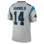 C.Panthers #14 Sam Darnold Silver Inverted Legend Jersey Stitched American Football Jerseys